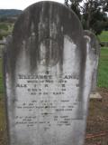 image of grave number 219079
